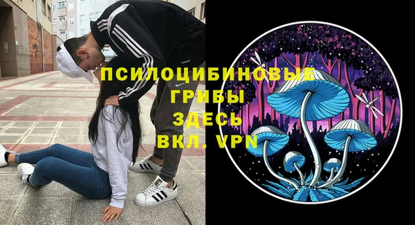 твердый Алексин