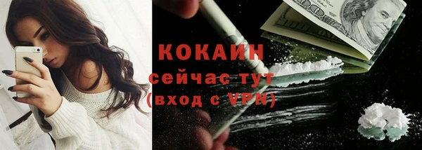 дживик Алзамай