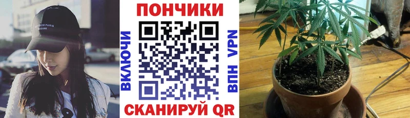 Бошки Шишки Bruce Banner  KRAKEN   Черногорск 